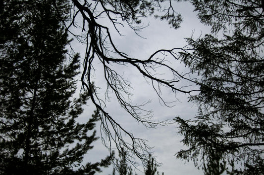 Everyday Spirituality: 5 Simple Spiritual Practices to Reconnect with Yourself