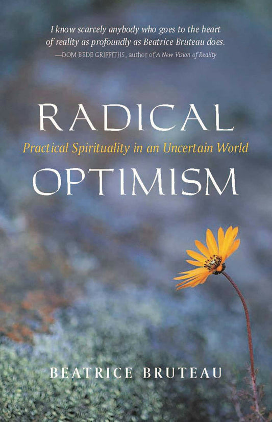 Cover image for Radical Optimism, isbn: 9781591810018