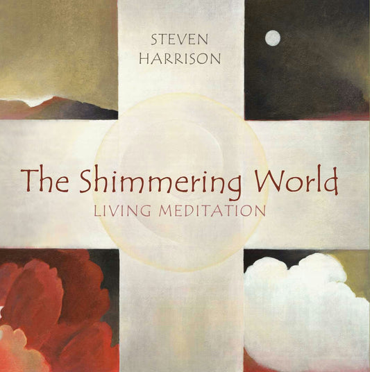 Cover image for The Shimmering World, isbn: 9781591810667