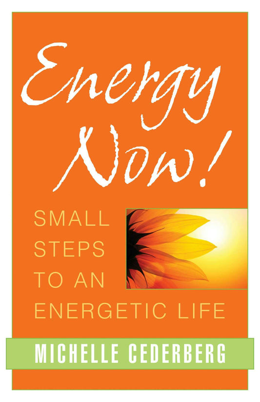 Cover image for Energy Now!, isbn: 9781591811770