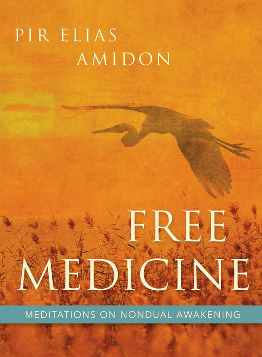 Cover image for Free Medicine, isbn: 9781591812852