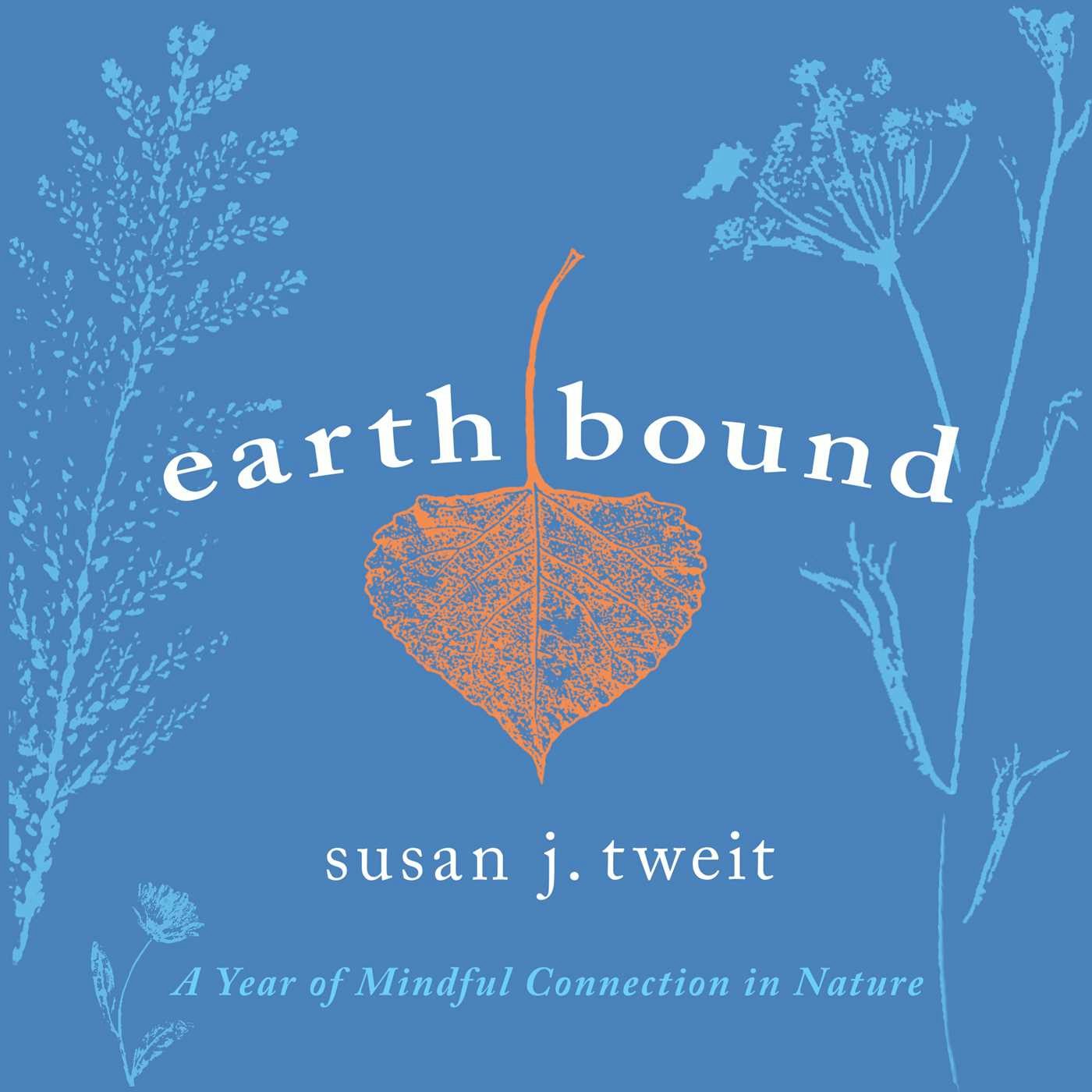 Cover image for Earthbound, isbn: 9781591813811