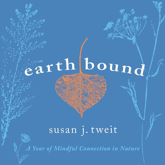 Cover image for Earthbound, isbn: 9781591813811